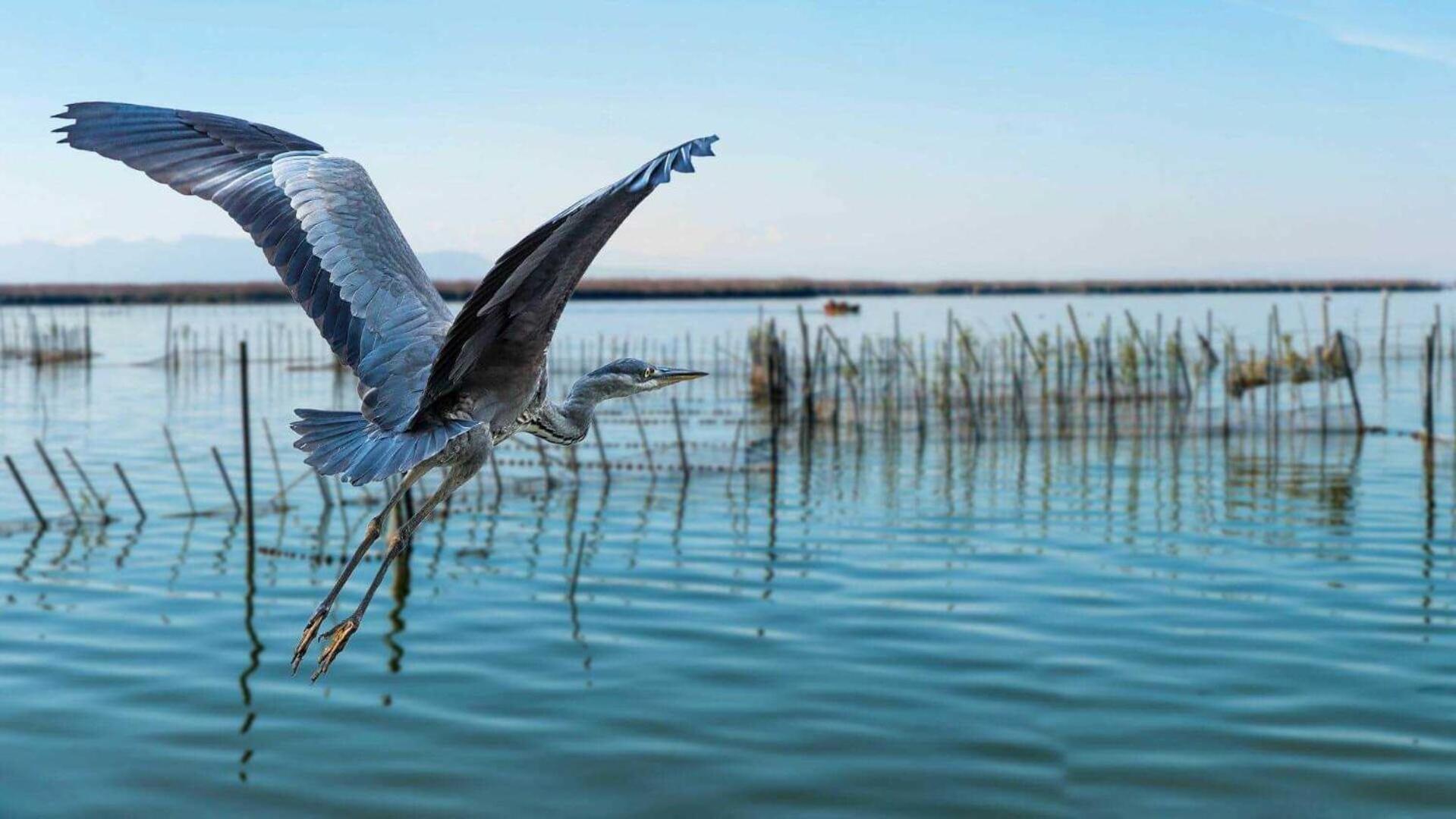 Albufera Dreams Nature Suites Валенсія Екстер'єр фото